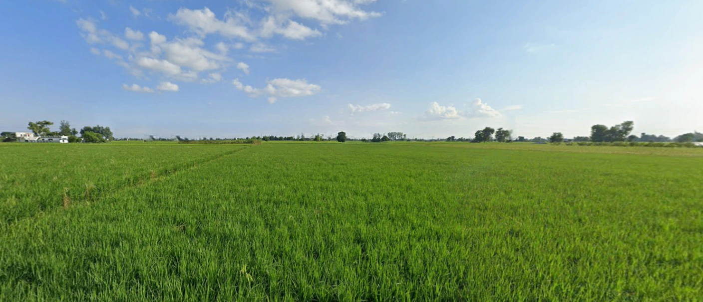 Jandiala, Punjab 143115, India