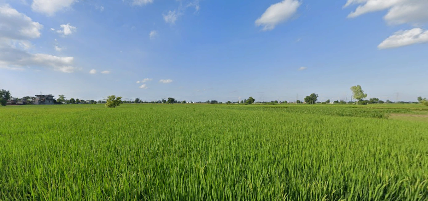 Tangra, Punjab, India