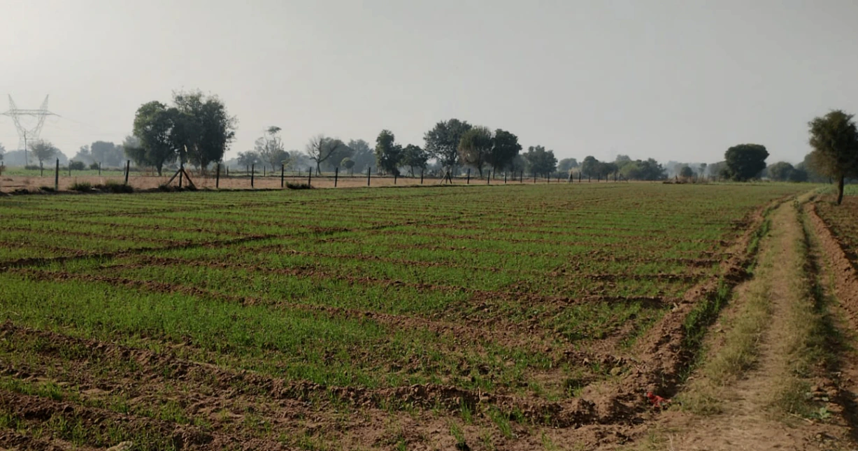 Khanna, Punjab, India