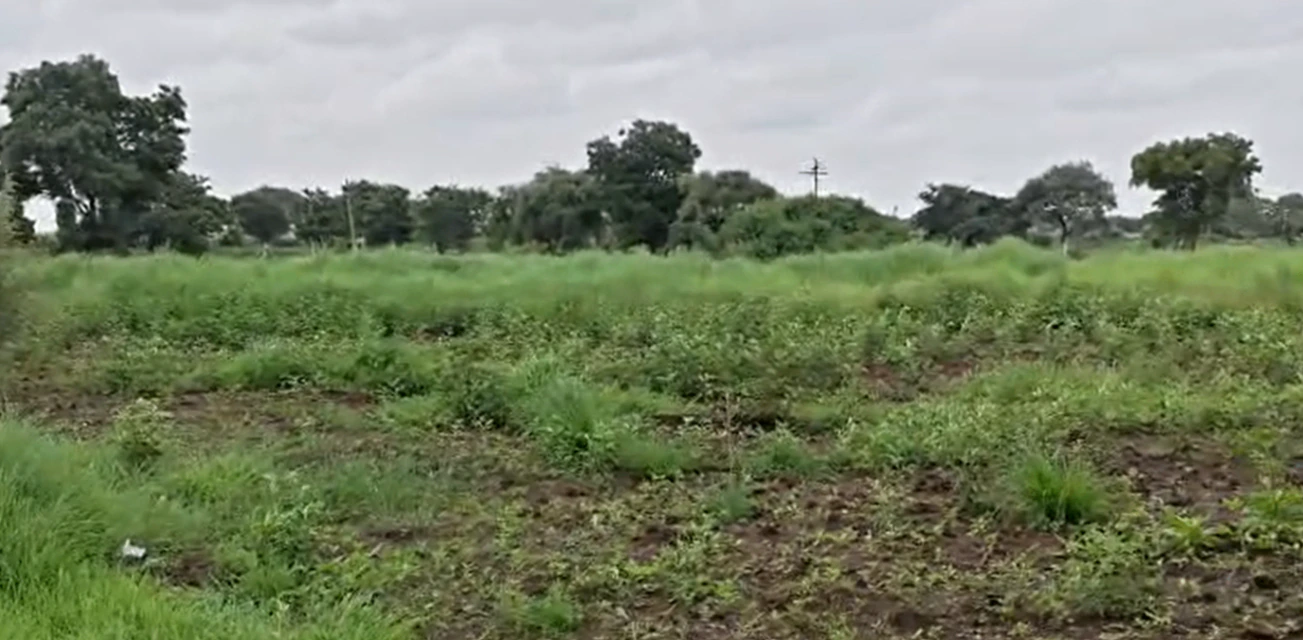 FXRV+G5 Chakrampalle, Vikarabad, Telangana, India - Photo 2