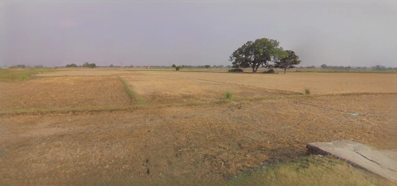 Charkhi Dadri, Haryana 127306, India