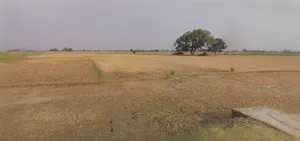 Charkhi Dadri, Haryana 127306, India preview 3