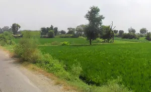 Kurukshetra, Haryana, India preview 2