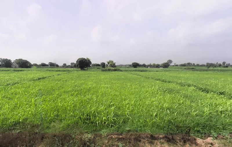 Hisar, Haryana, India preview 3