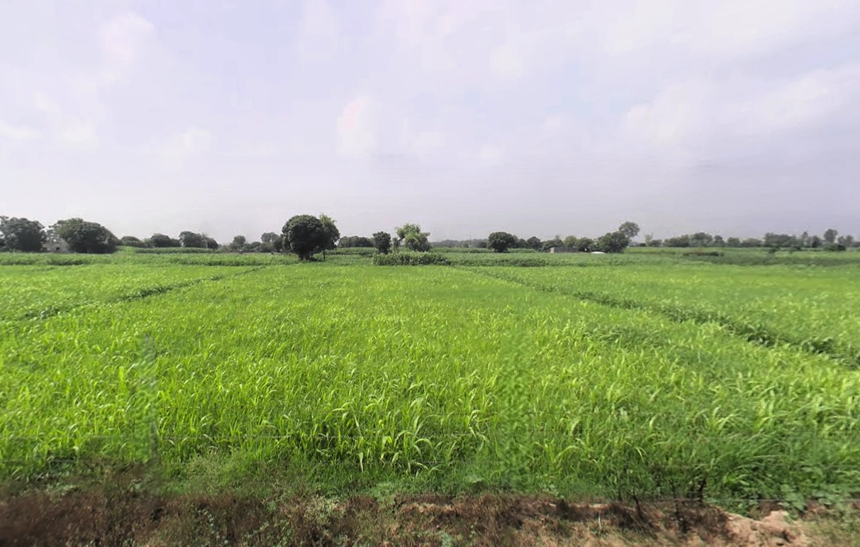 Hisar, Haryana, India