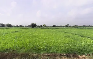Hisar, Haryana, India preview 3