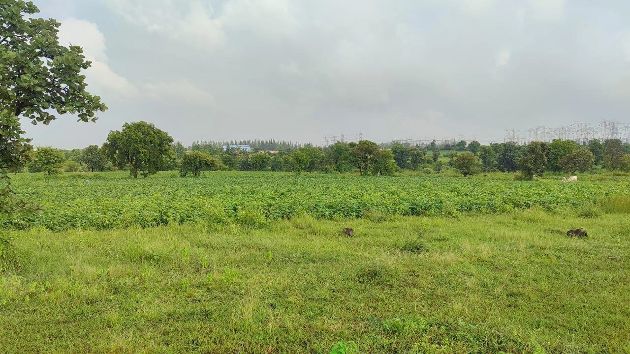 9QQJ+7P Dadhera, Maharashtra, India