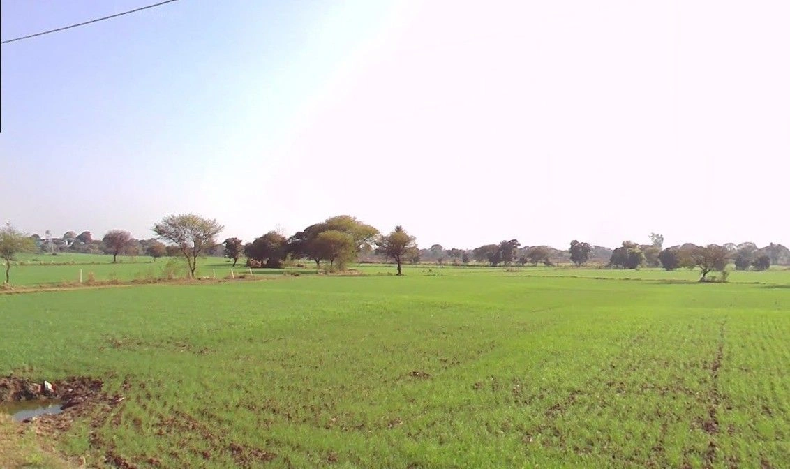 Amla, Madhya Pradesh 455332, India