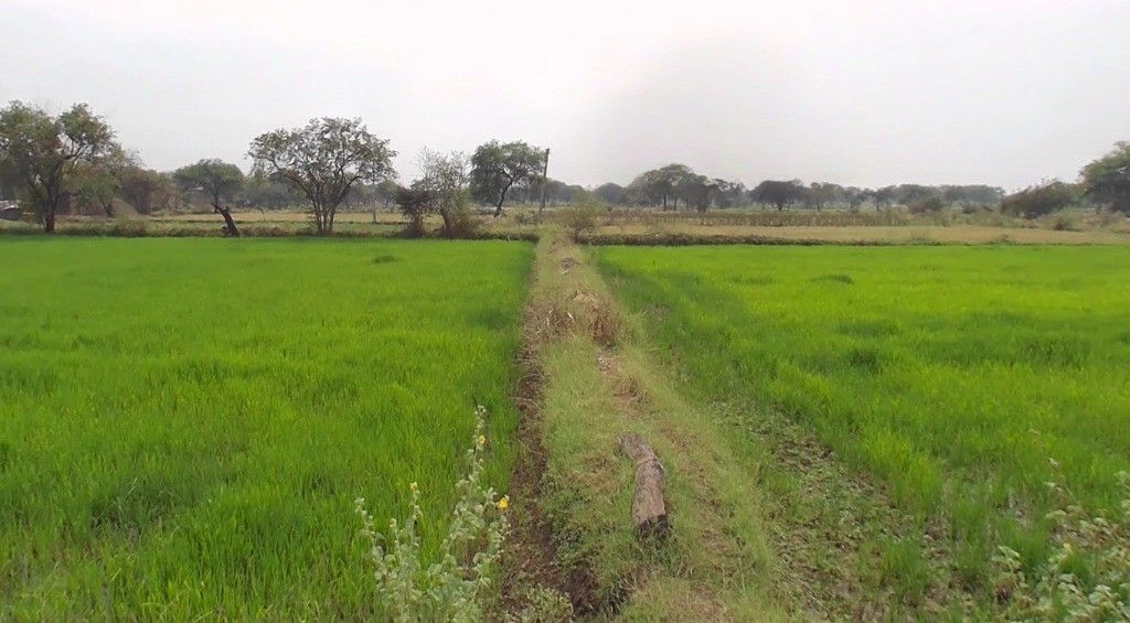 Sitalpur, Bihar, India preview 2