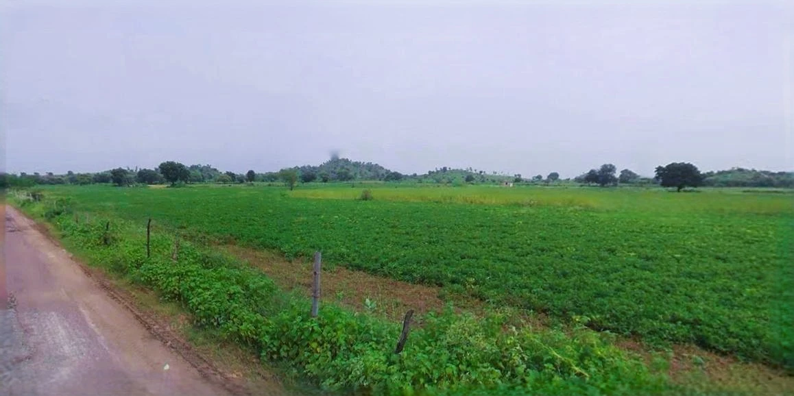 Charkhi Dadri, Haryana 127306, India