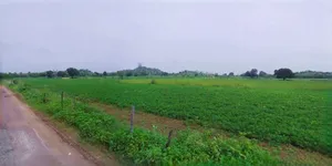 Charkhi Dadri, Haryana 127306, India preview 3