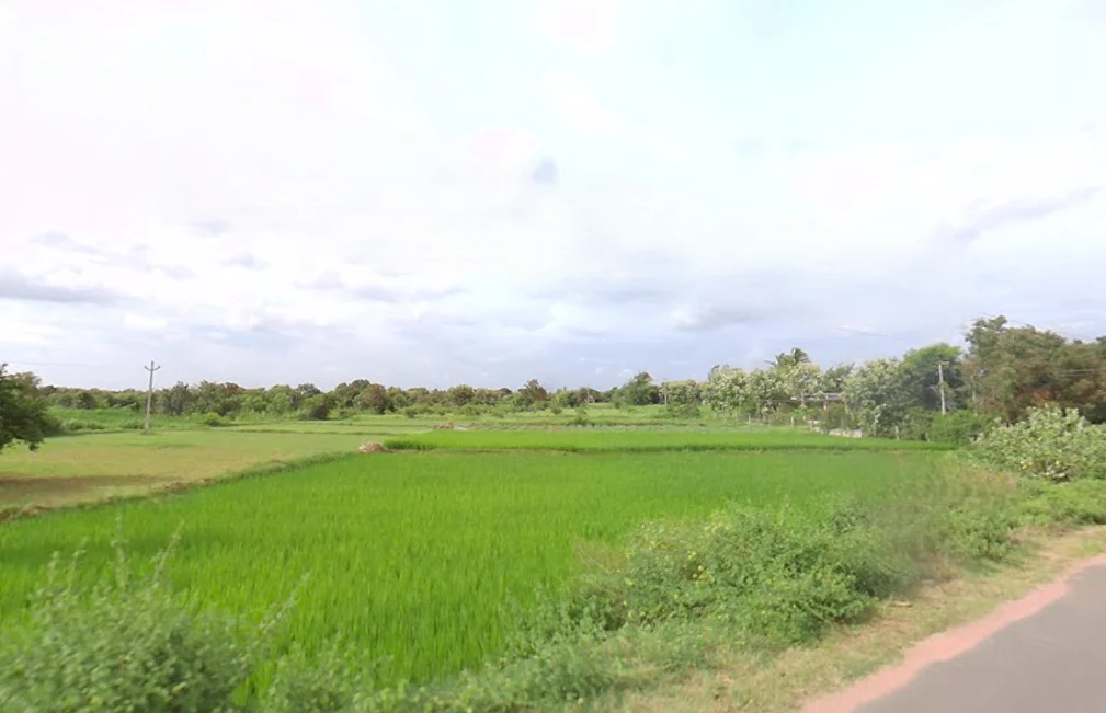 Kadthal, Telangana 509358, India