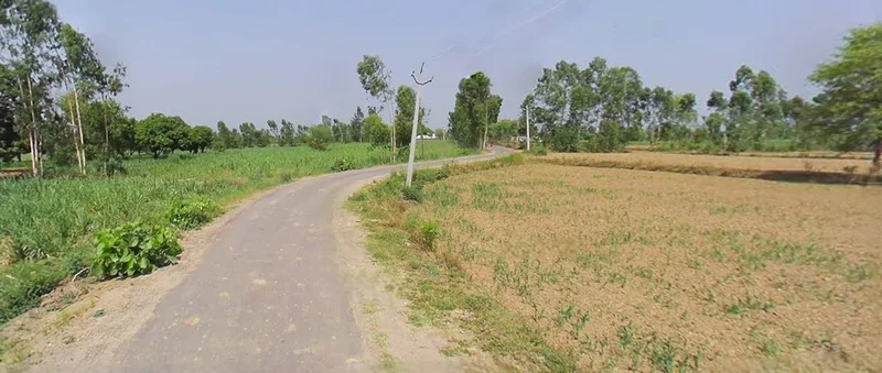 Bijnor, Uttar Pradesh 246701, India preview 3