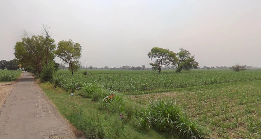 Katra, Uttar Pradesh 250401, India