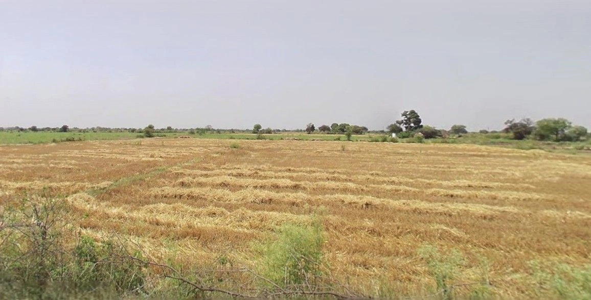 Parashurampuri, Uttar Pradesh 242221, India