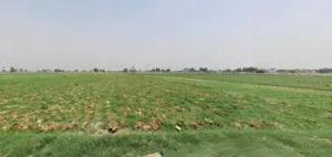 Murthal, Haryana, India preview 2