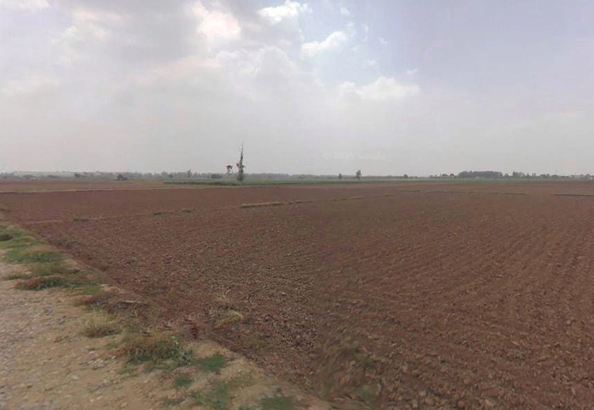 Mohra, Haryana, India