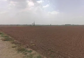 Mohra, Haryana, India preview 3