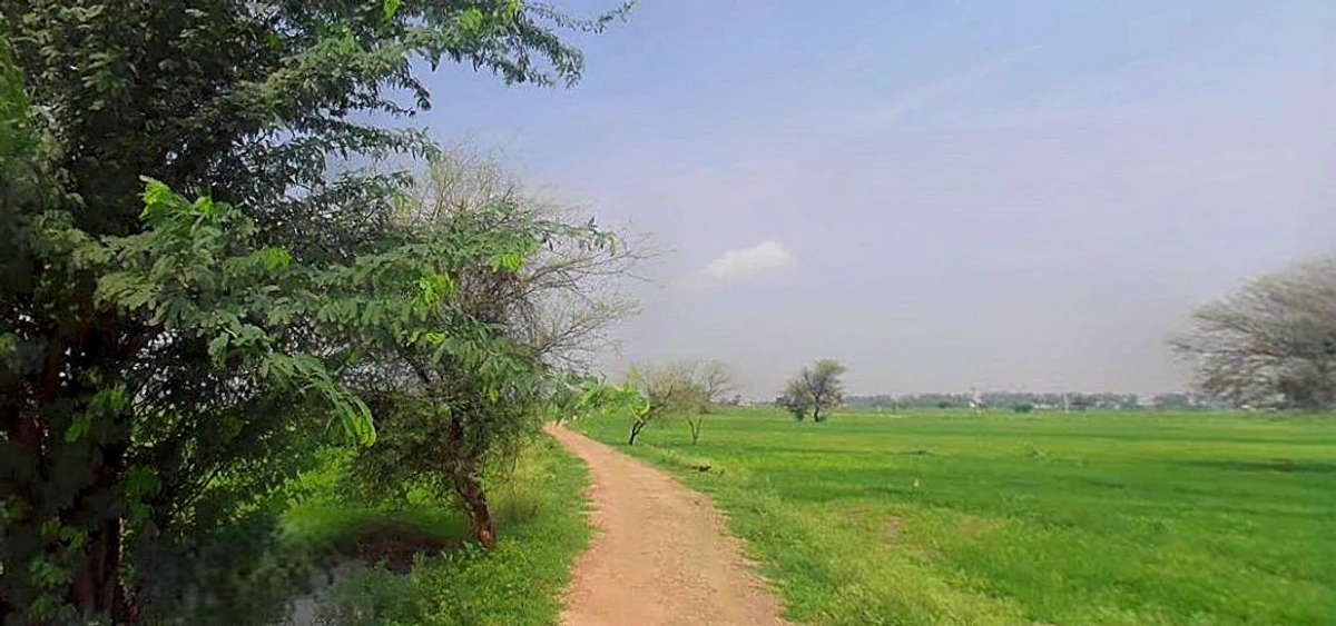 Chandla, Madhya Pradesh 471525, India