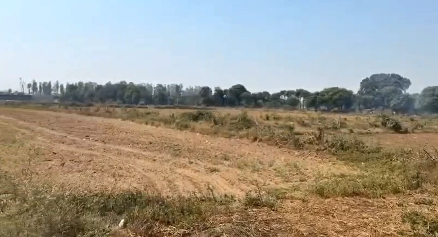 Jatowala, Uttarakhand 248197, India