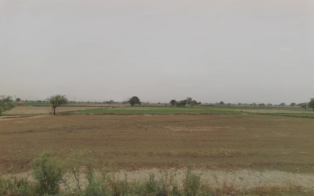 Dhaturi, Haryana 131039, India