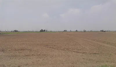 Bhora Rasulpur, Haryana, India preview 2