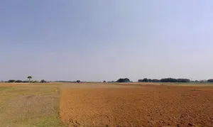 Murhu, Jharkhand 835216, India preview 3