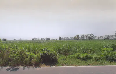 Palwada, Uttar Pradesh, India preview 3