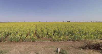 Varkhadia, Gujarat 384445, India preview 3