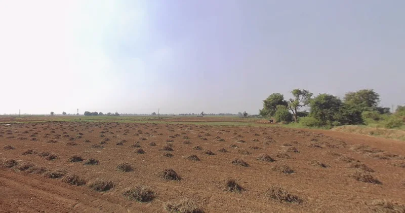 Kankaravadi, Gujarat, India preview 2