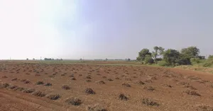 Kankaravadi, Gujarat, India preview 2