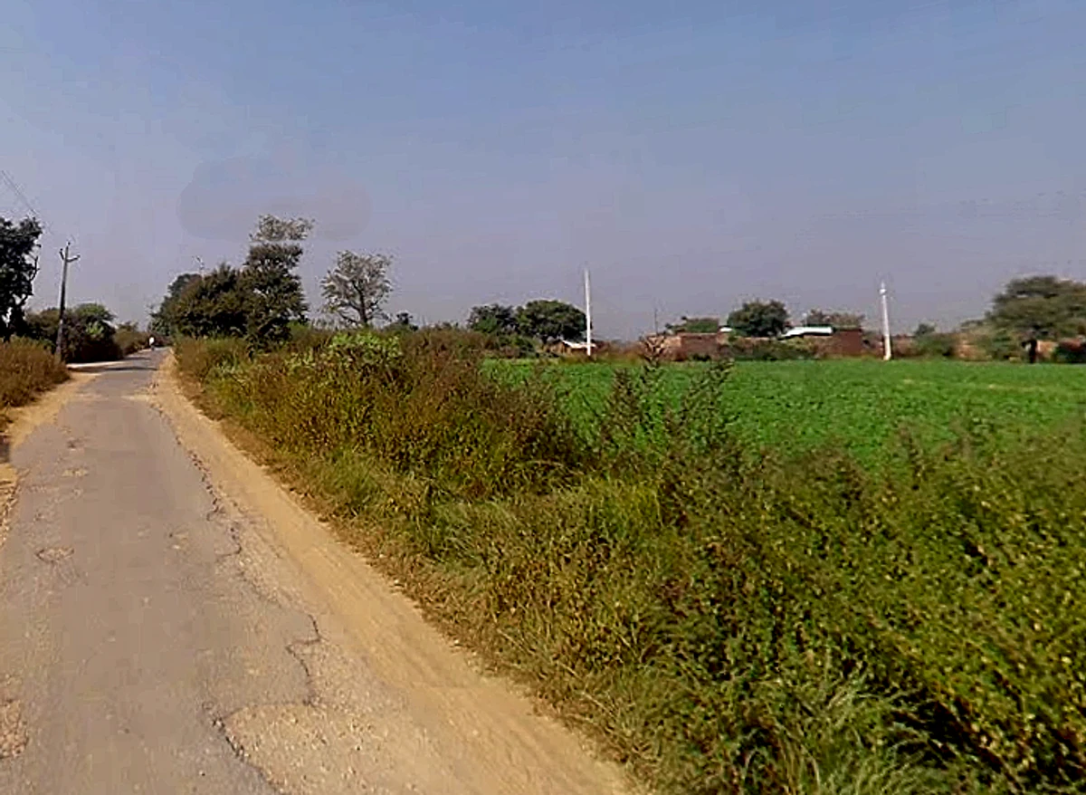 Saktesgarh, Rampur Shakteshgar, Uttar Pradesh 231304, India