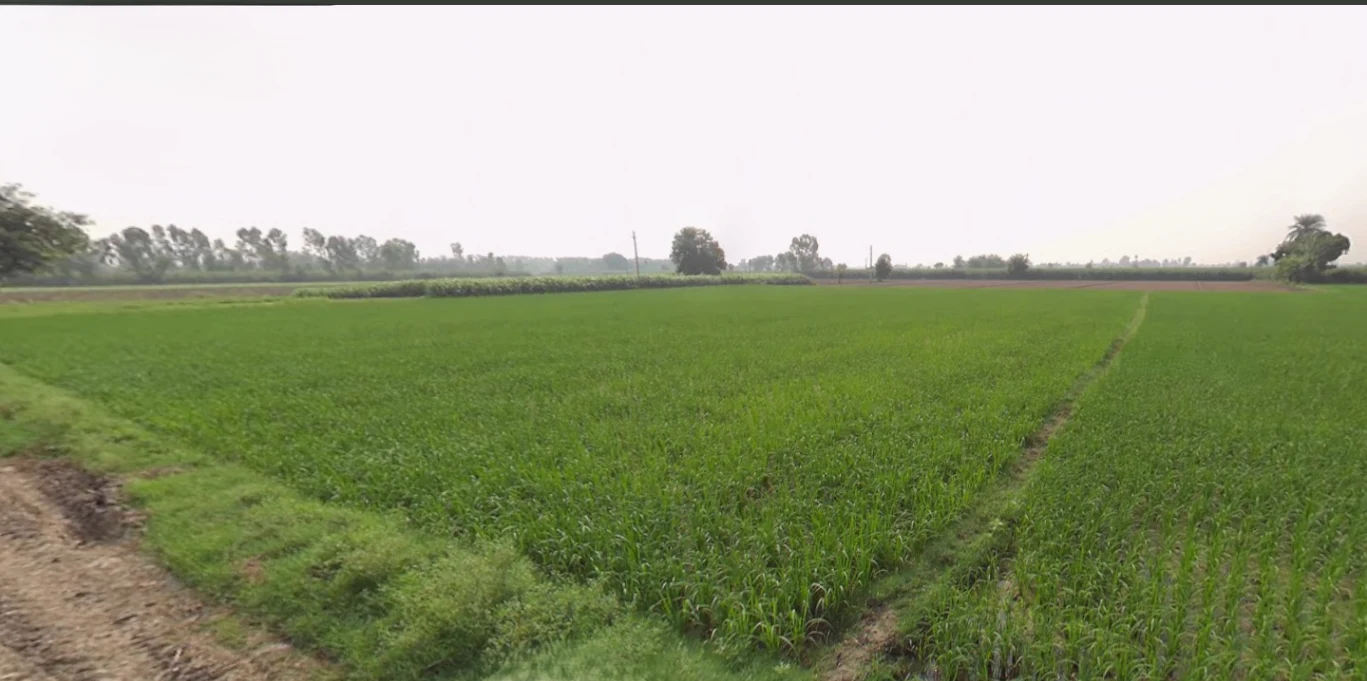 Banda, Uttar Pradesh 210001, India