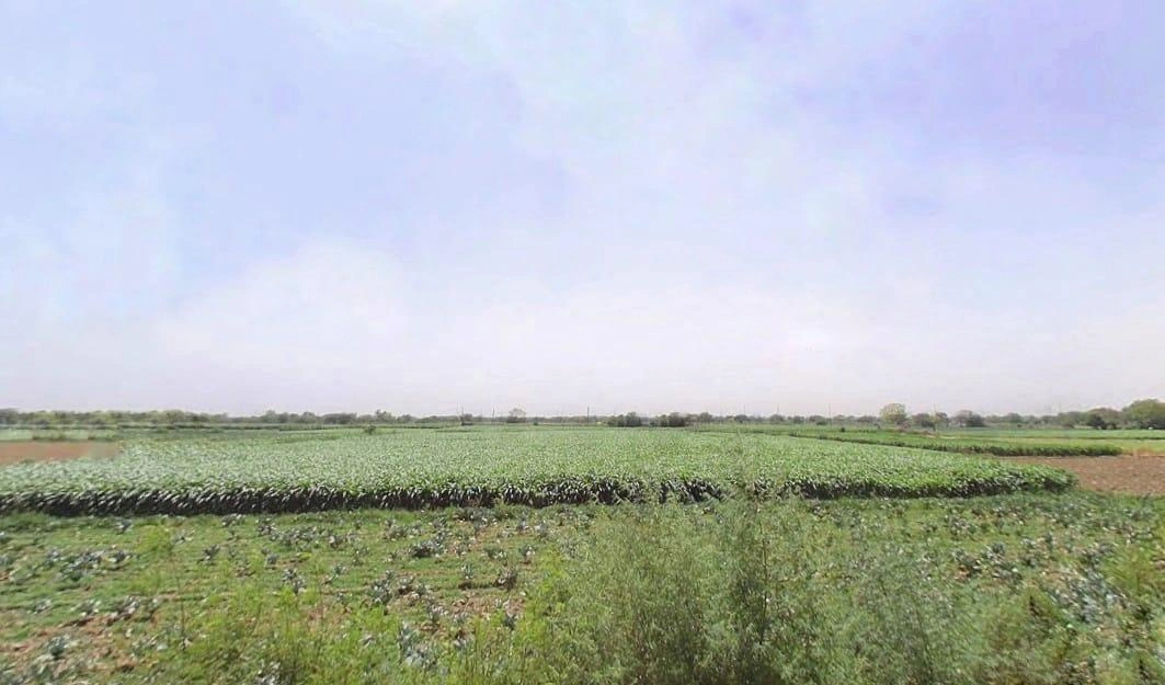 Neelwal, Delhi, India