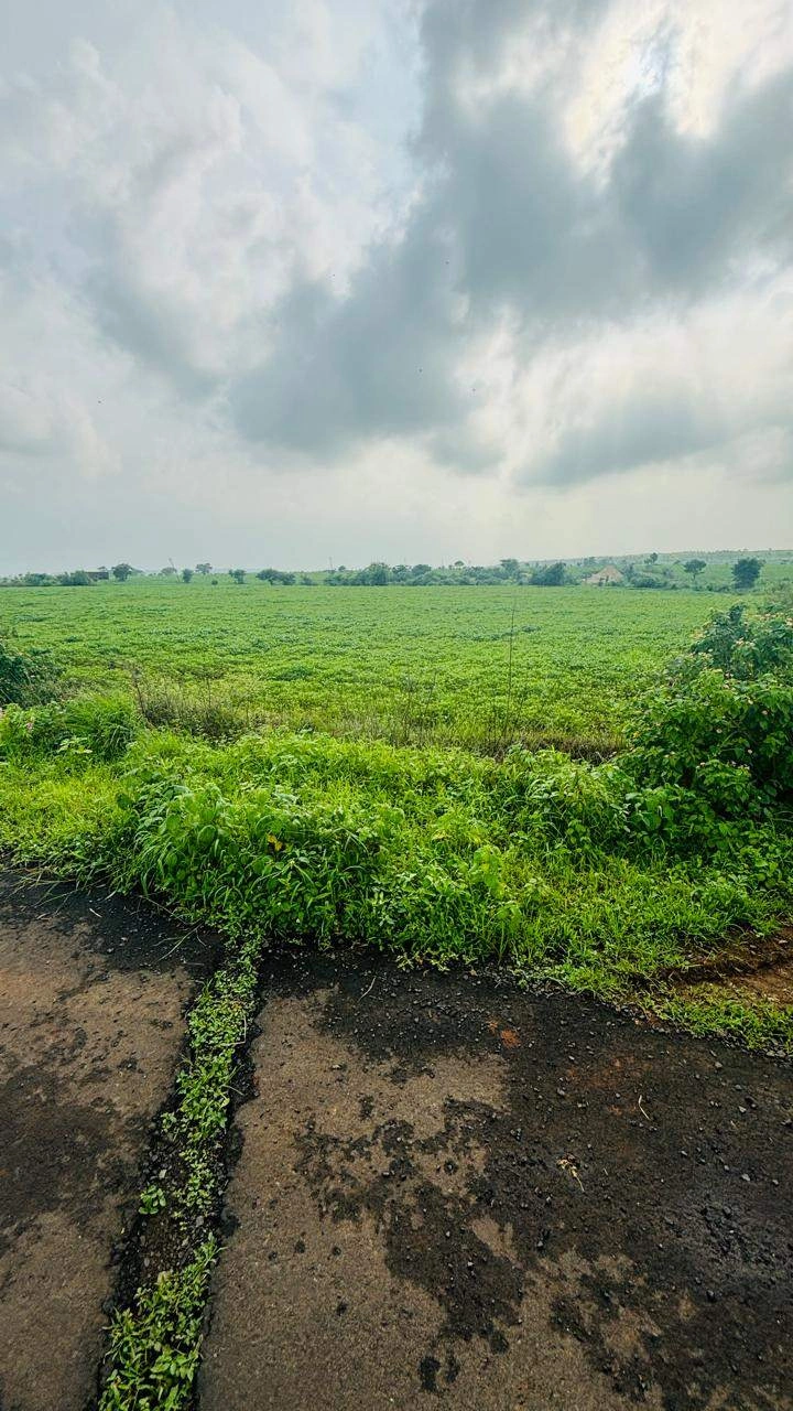 Budha Kheda, Madhya Pradesh, India