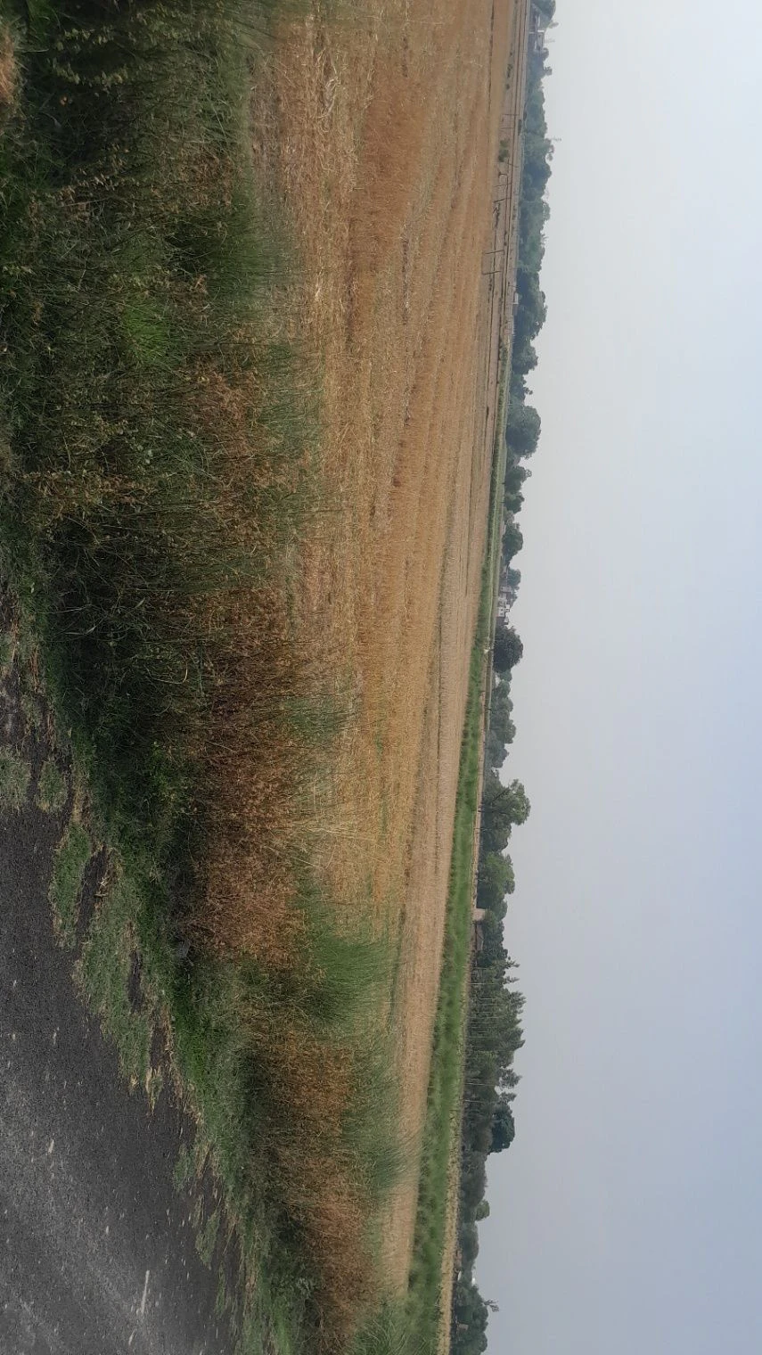 P5M8+P7 Chandpur Harbanshpur, Uttar Pradesh, India