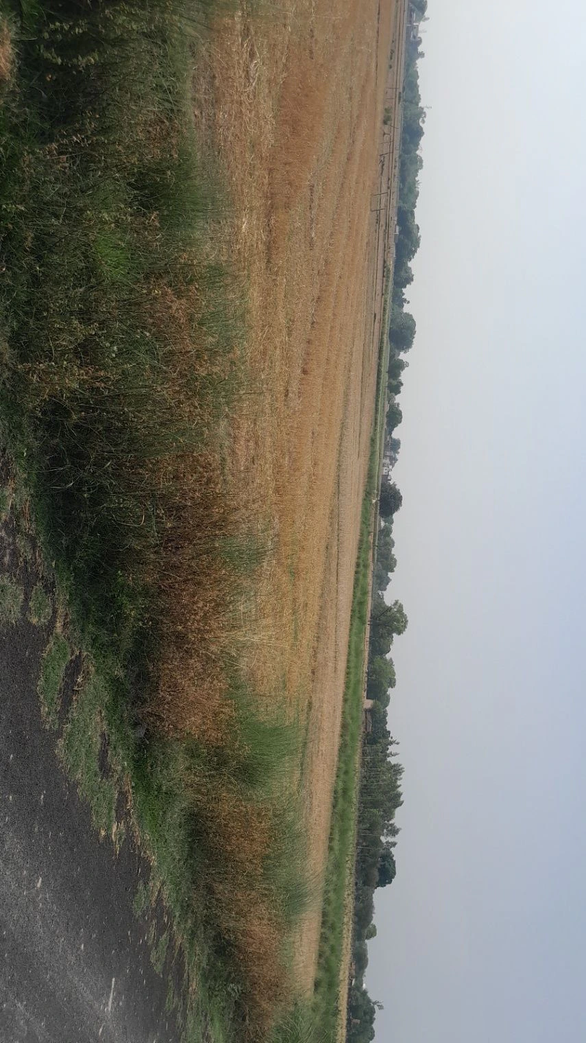 P5M8+P7 Chandpur Harbanshpur, Uttar Pradesh, India