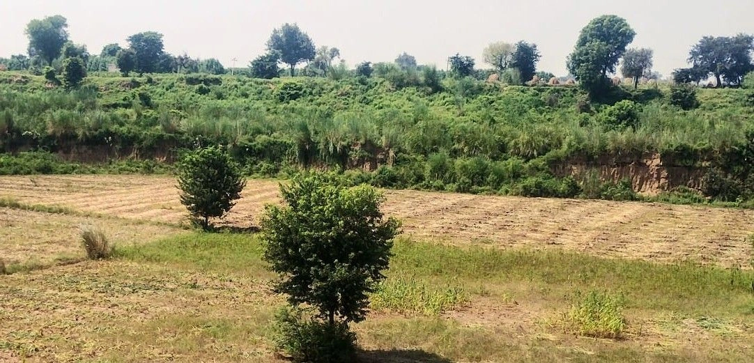 Jalooki, Rajasthan, India