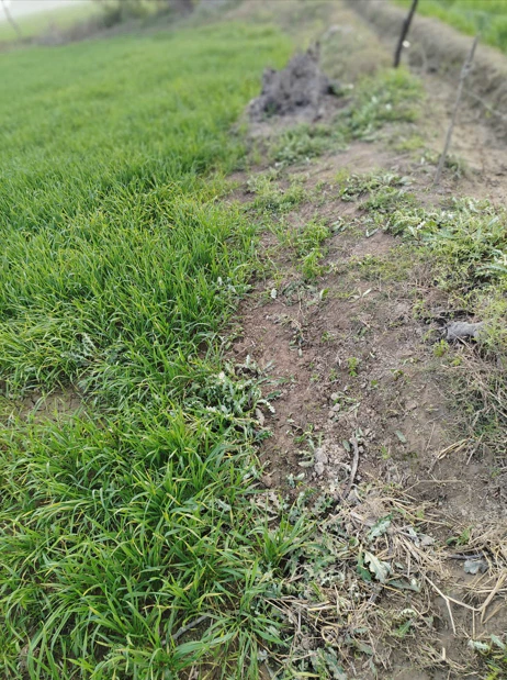 Sikandrabad, Uttar Pradesh 203205, India