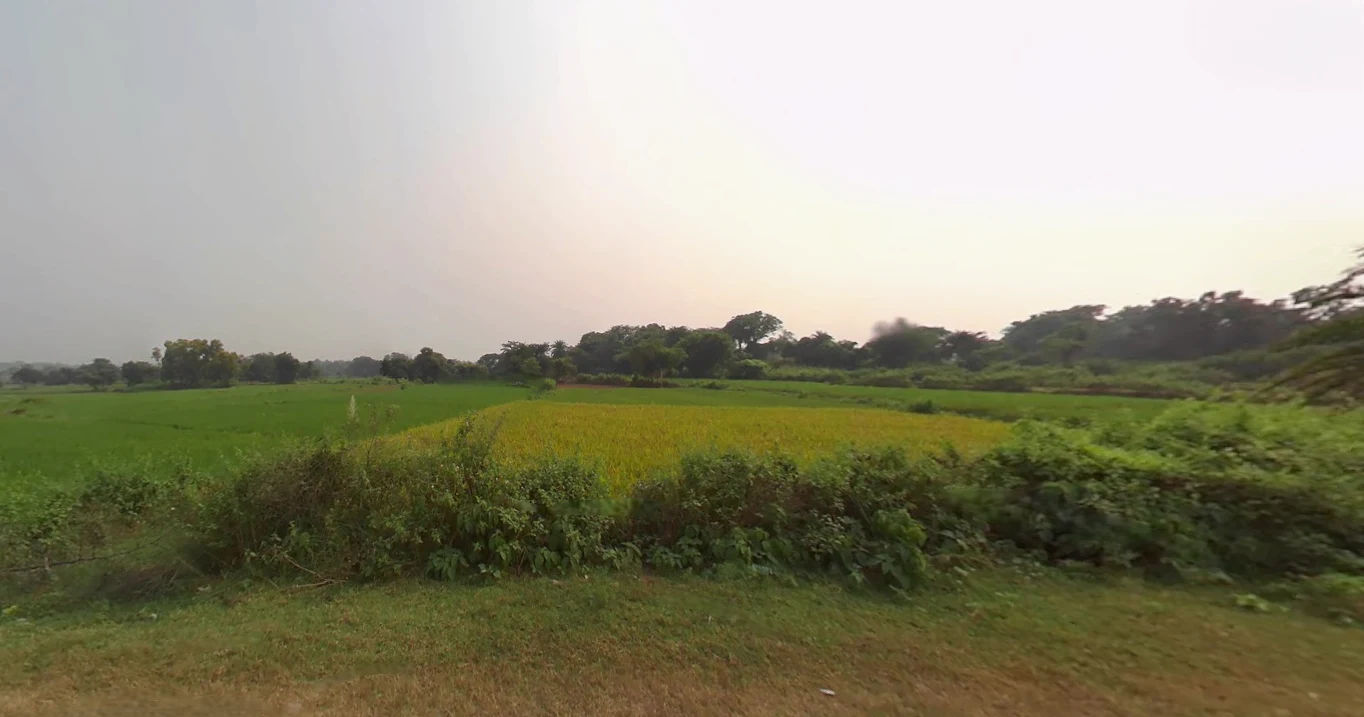 Jeypore, Odisha, India