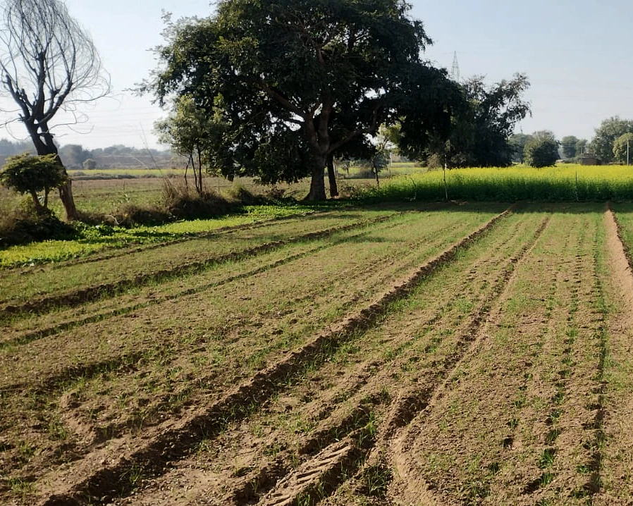 Sodarpur, Raisen, Madhya Pradesh 464570, India