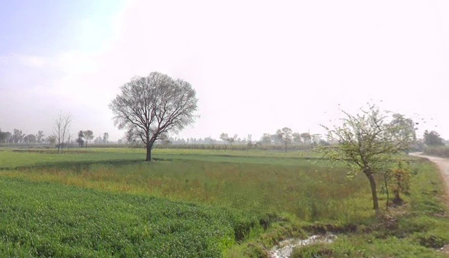 Sakoti, Uttar Pradesh 250223, India