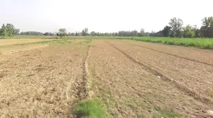 Bahadurgarh, Uttar Pradesh 245208, India preview 3