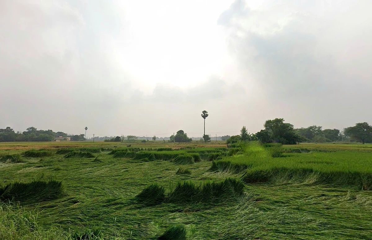 Bihta, Bihar 801103, India
