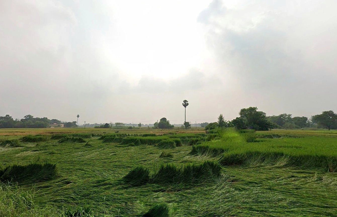 Bihta, Bihar 801103, India