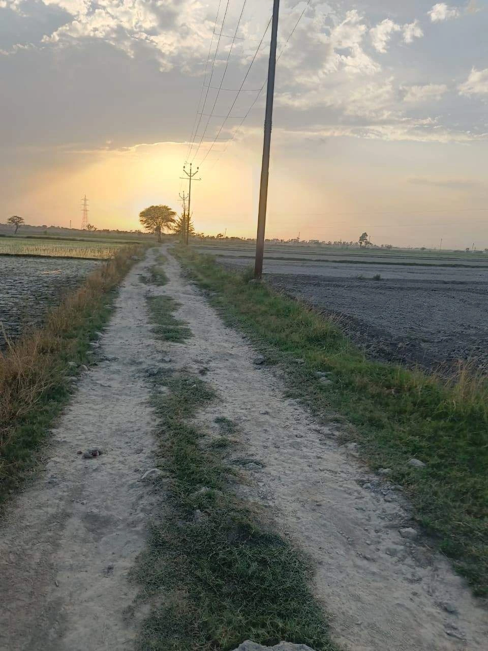 Sankhi, Uttar Pradesh 281401, India
