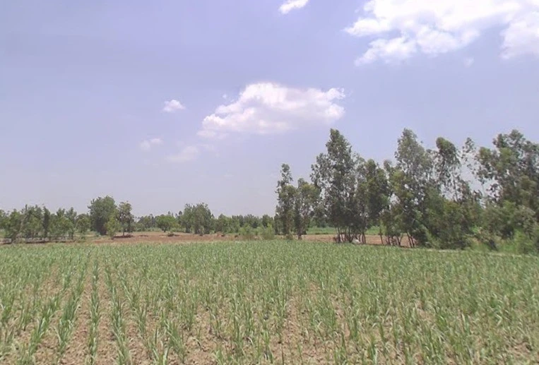 Shahabad - Bilari, Shahabad, Uttar Pradesh, India