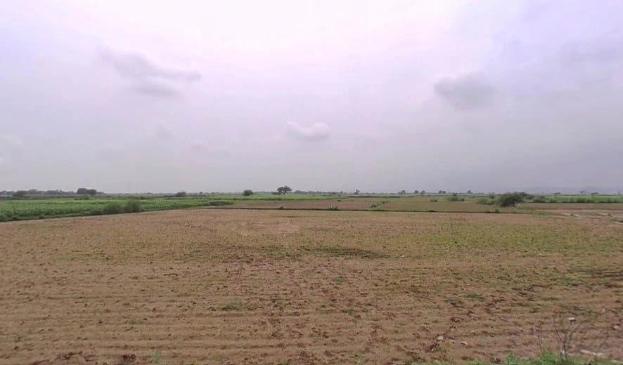 M3XV+JG2, Burana, Rajasthan 321404, India