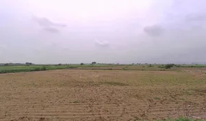 M3XV+JG2, Burana, Rajasthan 321404, India preview 3