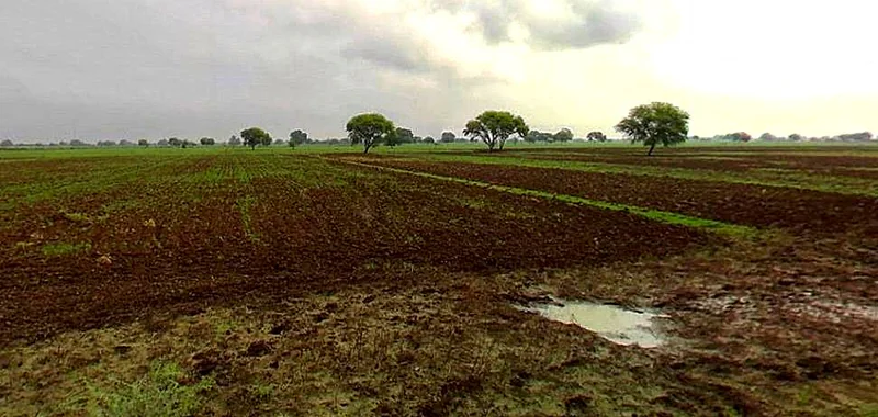 Barsana, Uttar Pradesh 281405, India preview 3